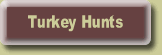 Turkey Hunts